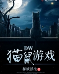 猫鼠游戏深度解析