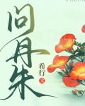 问丹朱
