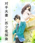 对手夫妻:苏少夜探身