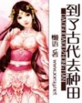 到了古代去种田 懒语