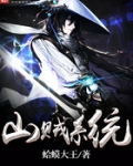 最强山贼系统