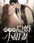 傅少的隐婚甜小说