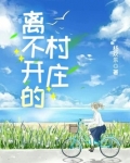 离不开的村庄 小说