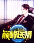 巅峰医婿陈昊