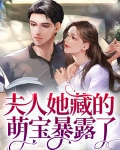 夫人她藏的萌宝暴露了小说
