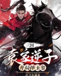 三国:袁家逆子,开局摔玉玺