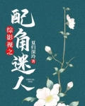 综影视之配角迷人