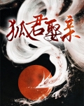 狐狸君是谁