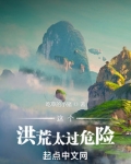 这个洪荒太过危险小说