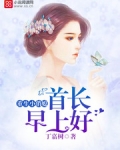 你是我的军令如山免费阅读正版