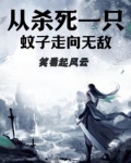 从杀死一只蚊子走向无敌