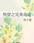 快穿之完美命运