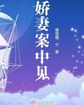 娇妻案中见