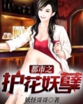 都市之护花妖孽 小说
