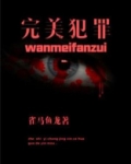 完美犯罪