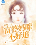 腹黑三宝:富婆妈咪不好追