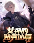 女神的贴身仙尊 小说
