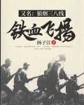 铁血飞扬(又名:狼烟三八线)