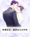 娇妻似宝，腹黑老公太怀抱