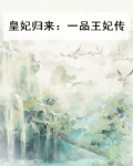皇妃归来：一品王妃传
