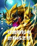 奥特老大杀手