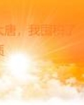 穿越到大唐，我囤积了万亿物质