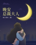 晚安，总裁大人