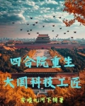 四合院重生，大国科技工匠