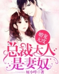 婚宠无度：总裁大人是妻奴