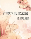 红楼之我本凉薄无错小说