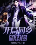 开局回乡当村长 小说