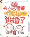 盛总夫人又去拜家了