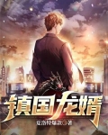 镇国龙婿