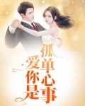 爱你是孤单心事歌词