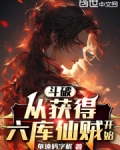 斗破,从获得六库仙贼开始