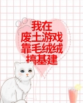 我在废土游戏靠毛绒绒搞基建