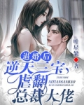 退婚后，三个幼崽把她拉进大佬怀里