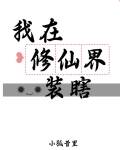 我在修仙界装瞎