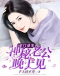 豪门盛宠:神秘老公晚上见网盘
