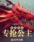 我是恶龙,专抢公主免费阅读