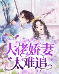 大佬娇妻难追免费阅读