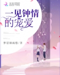 一见钟情的宠爱小说免费阅读