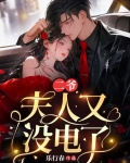 二爷,夫人又没电了短剧免费观看全集