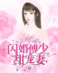 傅少的闪婚甜妻全集观看(1)