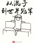 从混子到世界冠军TXT