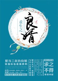 重生之良婿讲什么