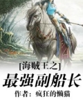 海贼王之最强副船长