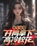 重生豪雄:开局拿下高冷校花