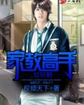 校花的家教高手 小说