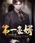 第一豪婿